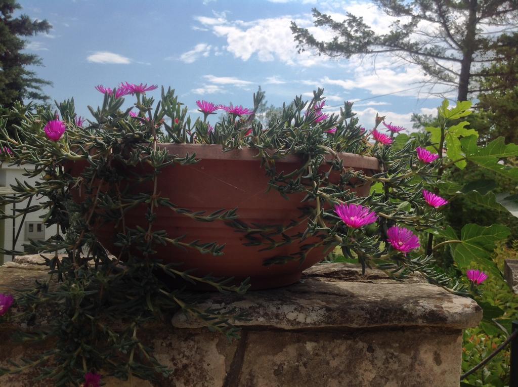 Holiday House Altea Banjole Quarto foto